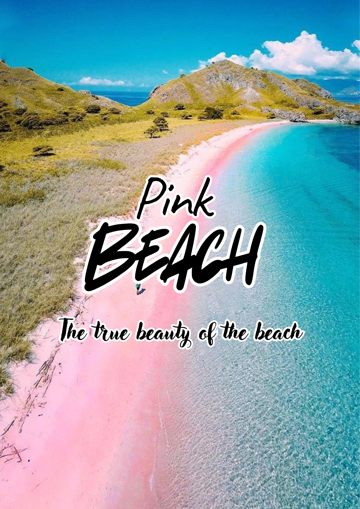 alt pink beach lombok tours